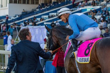 Race horse Silver Darling photographed from the rear quarter | Kuda