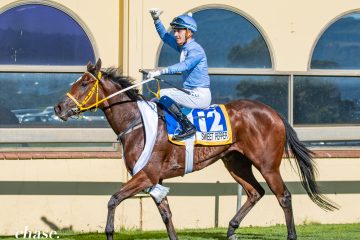 Image of horse Sweet Pepper being ridden | Kuda