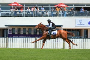 Kuda Bloodstock Insurance Ready To Run Sale RTR